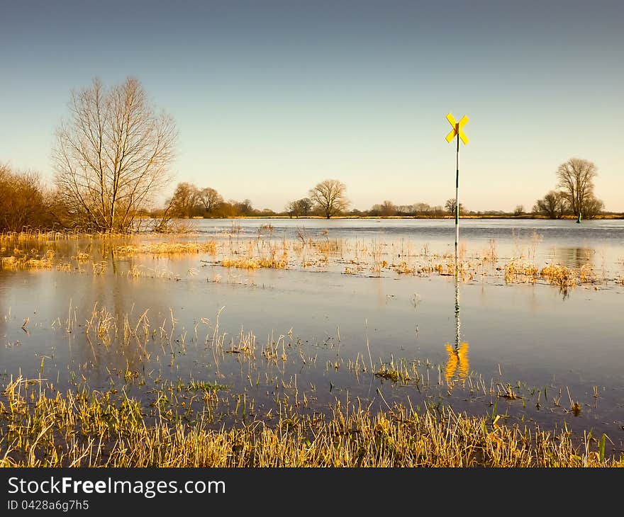 Wetlands with yellow signal in winter