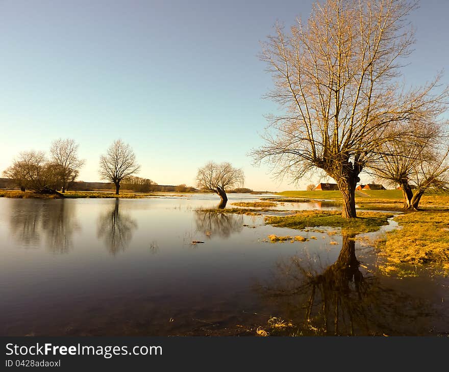 Wetlands with trees and houses in winter