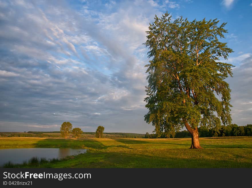 Beautiful meadow landscape with lonely tree and lake