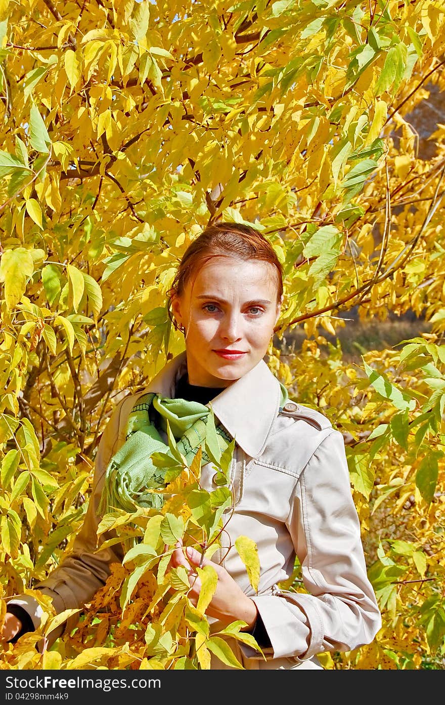 The girl on the background of tree branches. Autumn, yellow leaves. The girl on the background of tree branches. Autumn, yellow leaves.