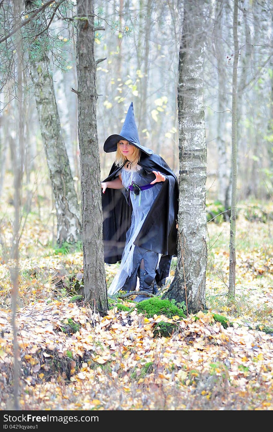 Woman in black hat and cloak witch. Woman in black hat and cloak witch