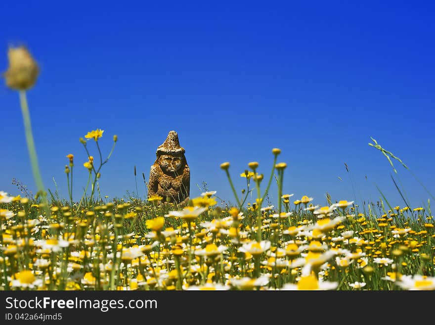 Flowering grass in the spring sun shining. Flowering grass in the spring sun shining