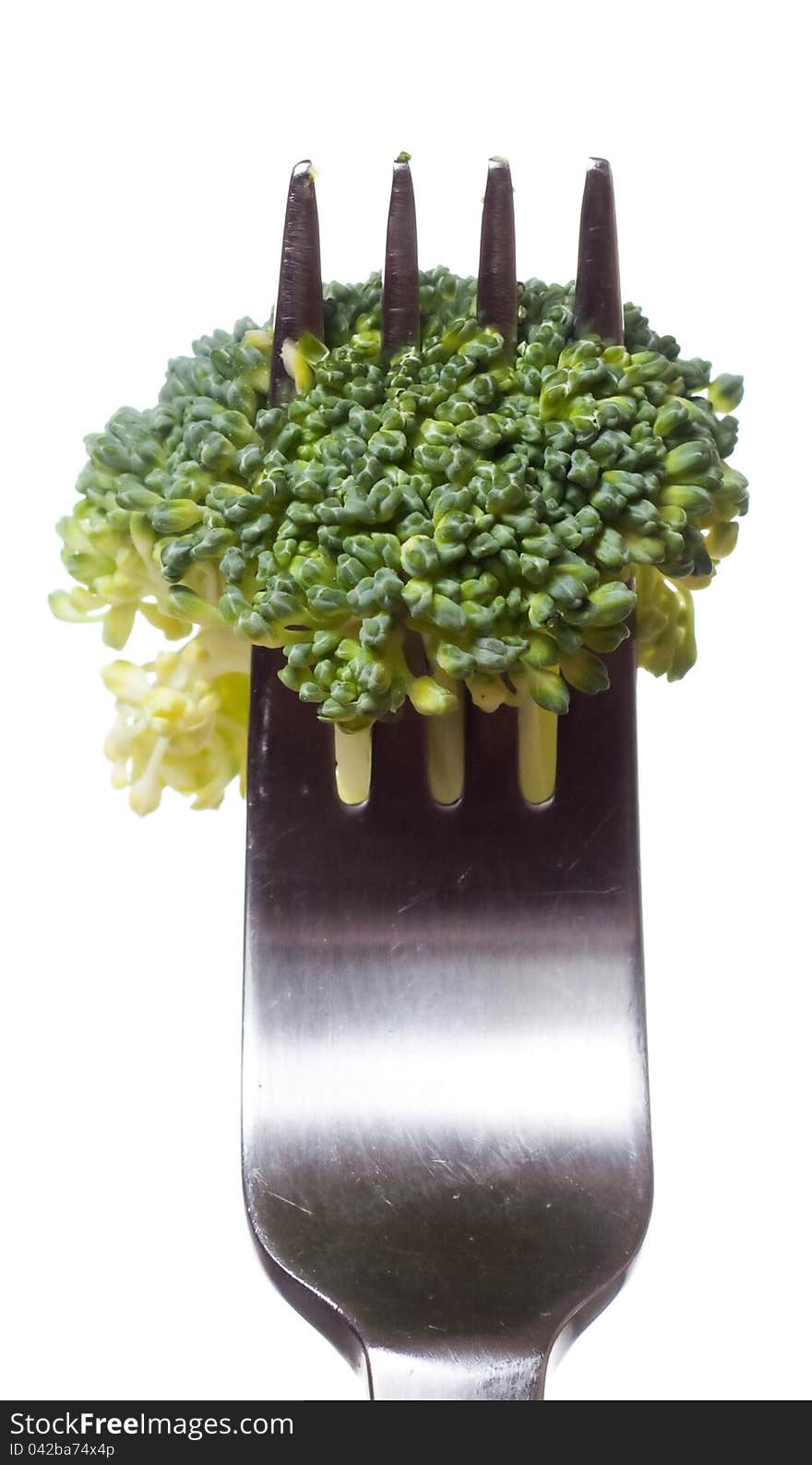 Broccoli on fork isolated on white