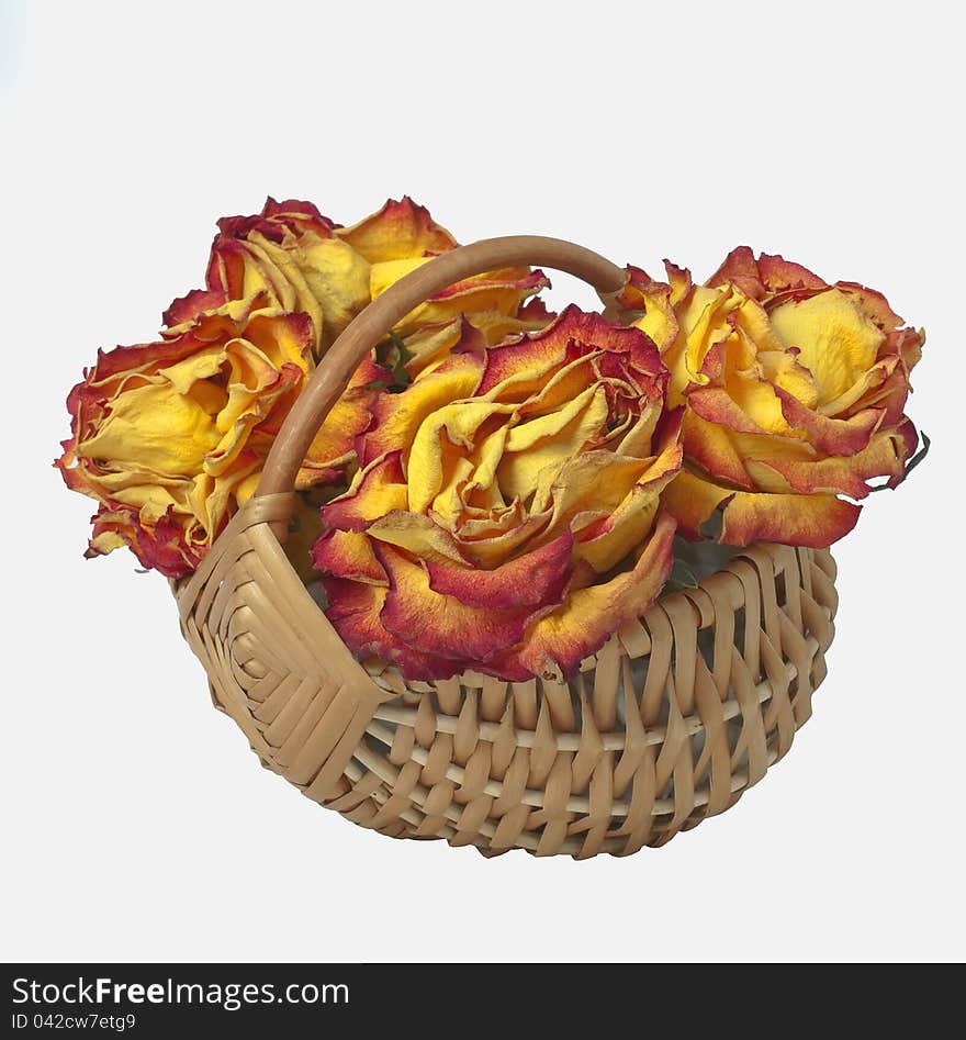 Still life of dried flowers in a basket on a white background