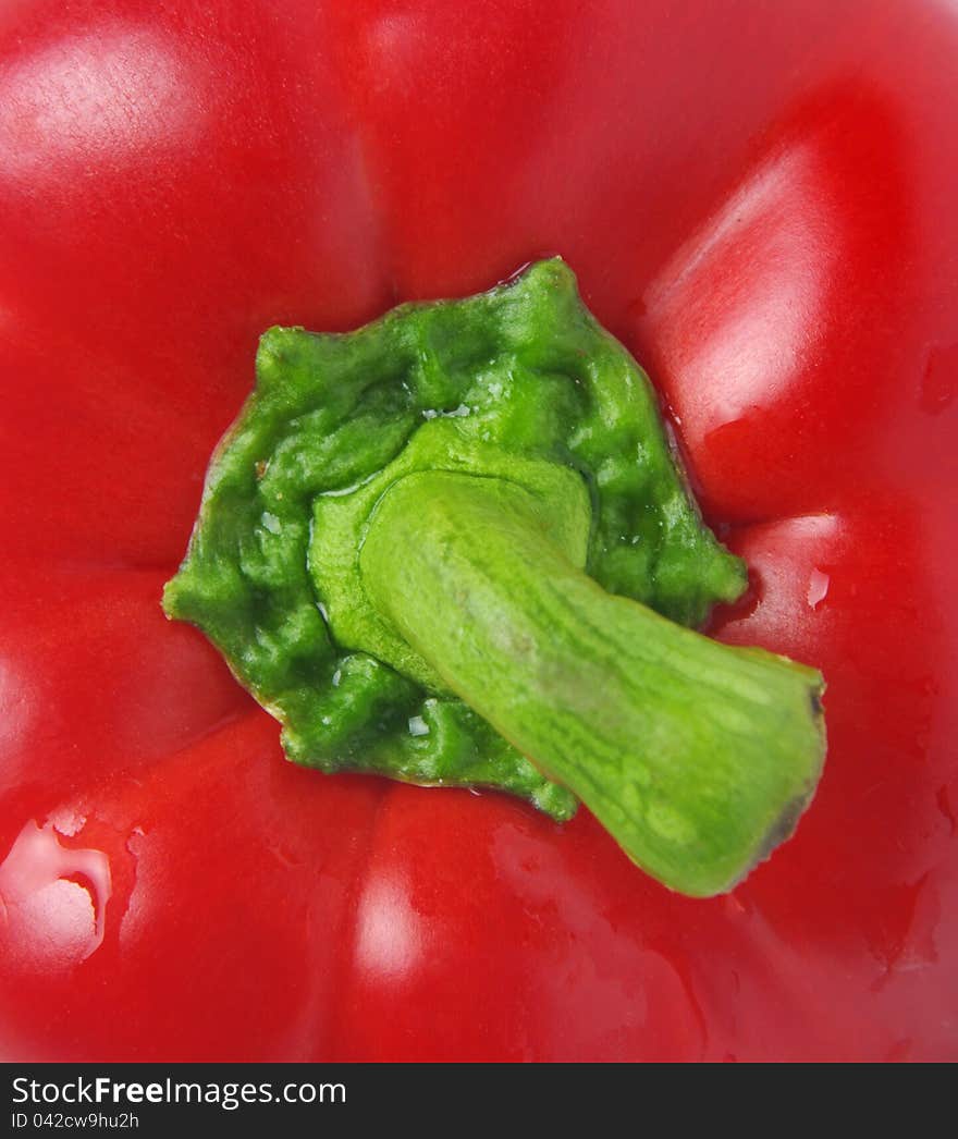 Capsicum Closeup