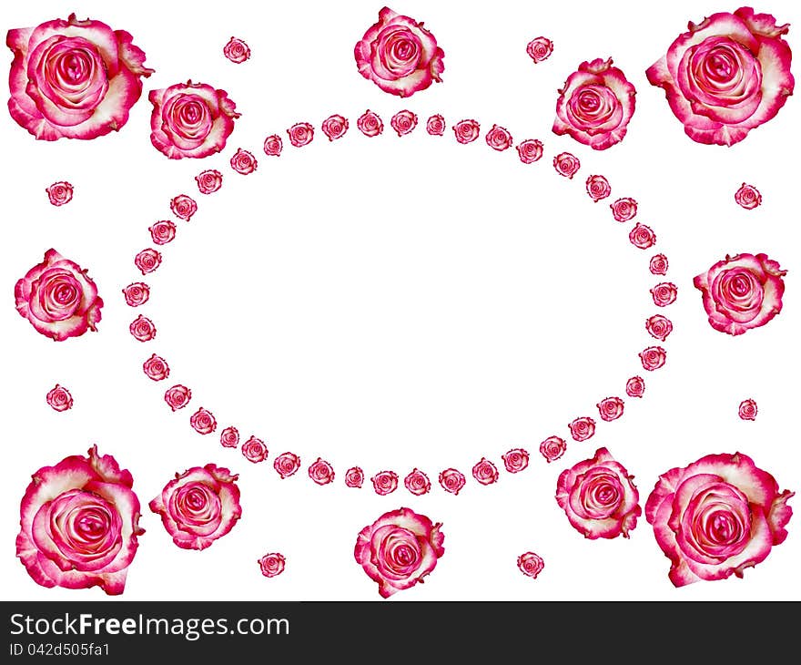 Creative frame made from roses. Abstract background. Creative frame made from roses. Abstract background