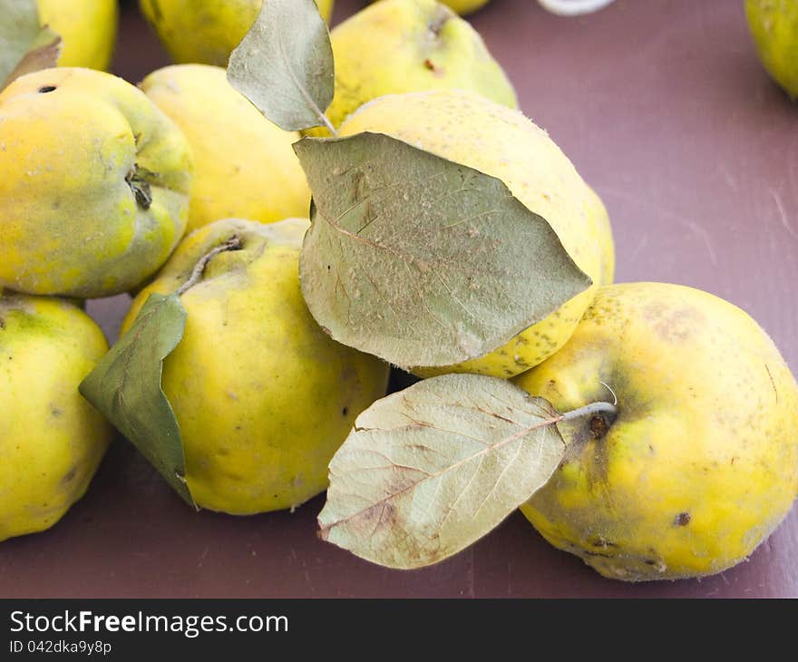 Rural quince