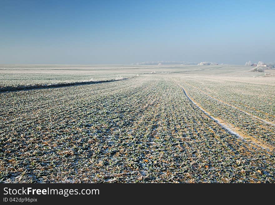 Frosty Landscape