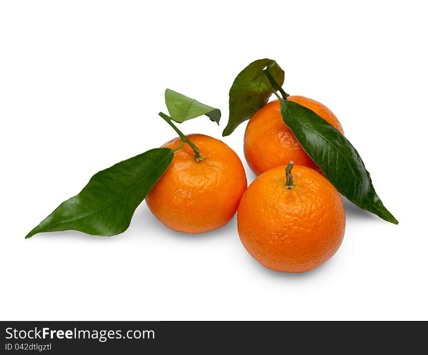 Tangerine fruits.