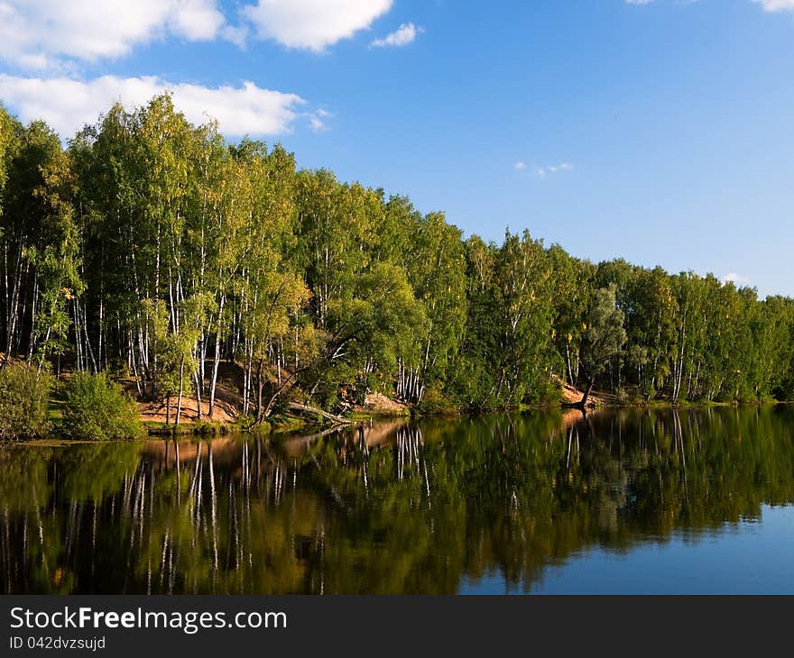 Lake in wood.