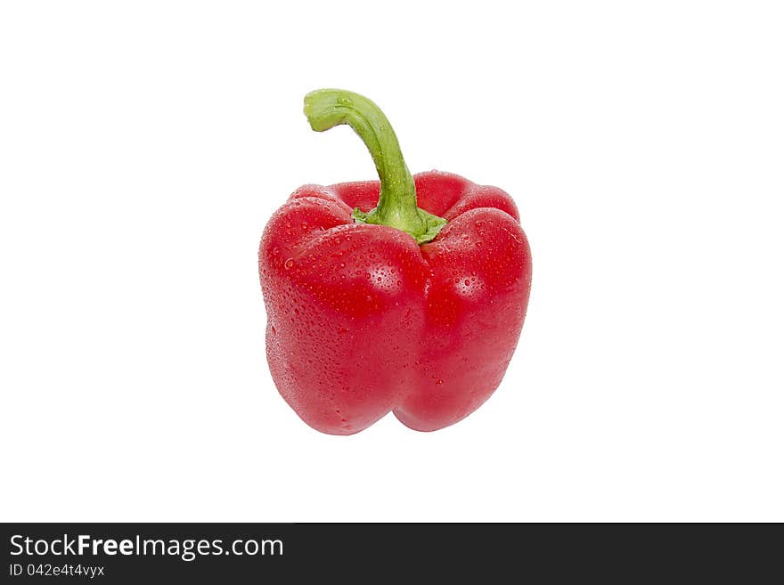 Bulgarian red pepper isolated on white background