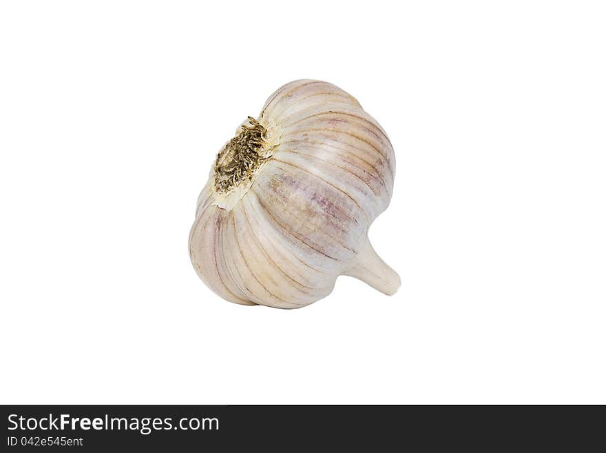 Head Of Garlic