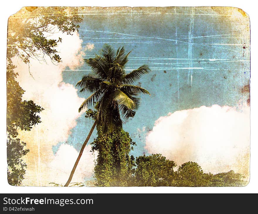 Coconut palm tree, sky, clouds. Old postcard. Isolated on white background