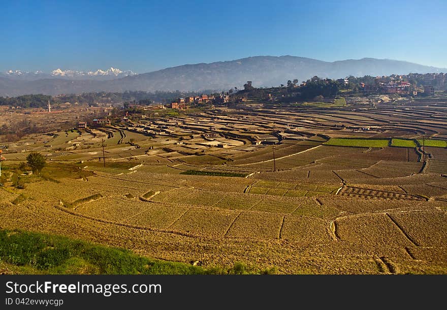 Tranquil rural scenery