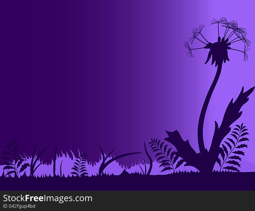 Silhouette of meadow with dandelion against the night sky. Silhouette of meadow with dandelion against the night sky