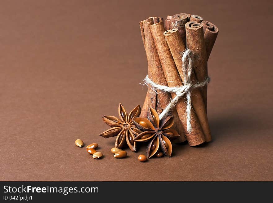 Cinnamon stick and anise stars