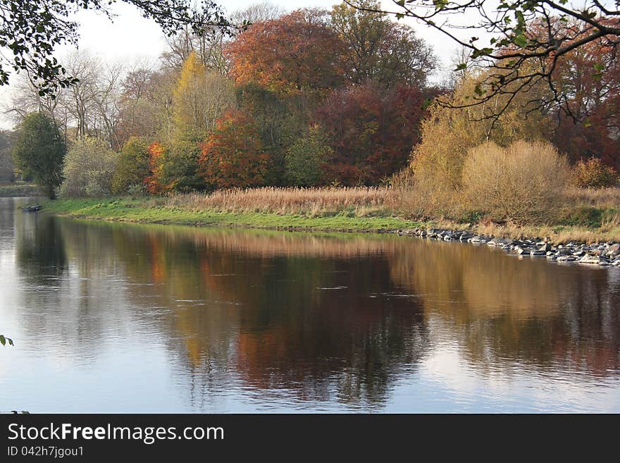 Taken on the river  tweed in October during a rare fine day. Taken on the river  tweed in October during a rare fine day