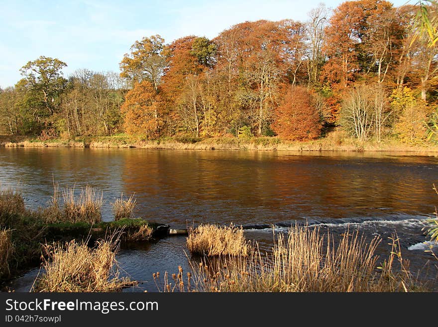 Taken on the River Tweed, Scotland during the Autumn. Taken on the River Tweed, Scotland during the Autumn