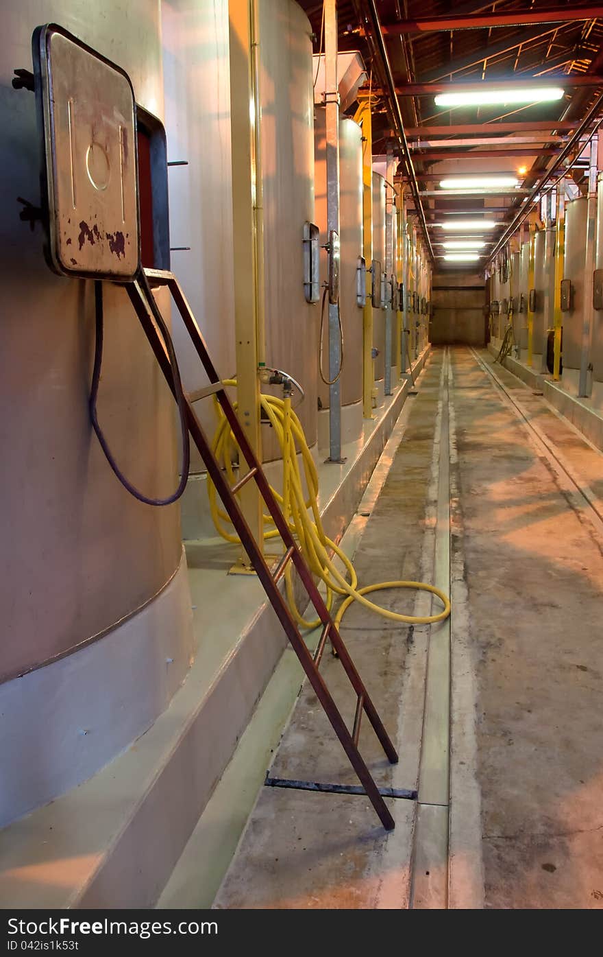 Winery hall with steel wine tanks and ladder