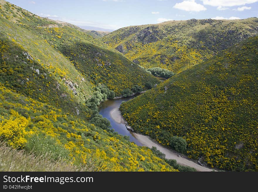 Hills Landscape