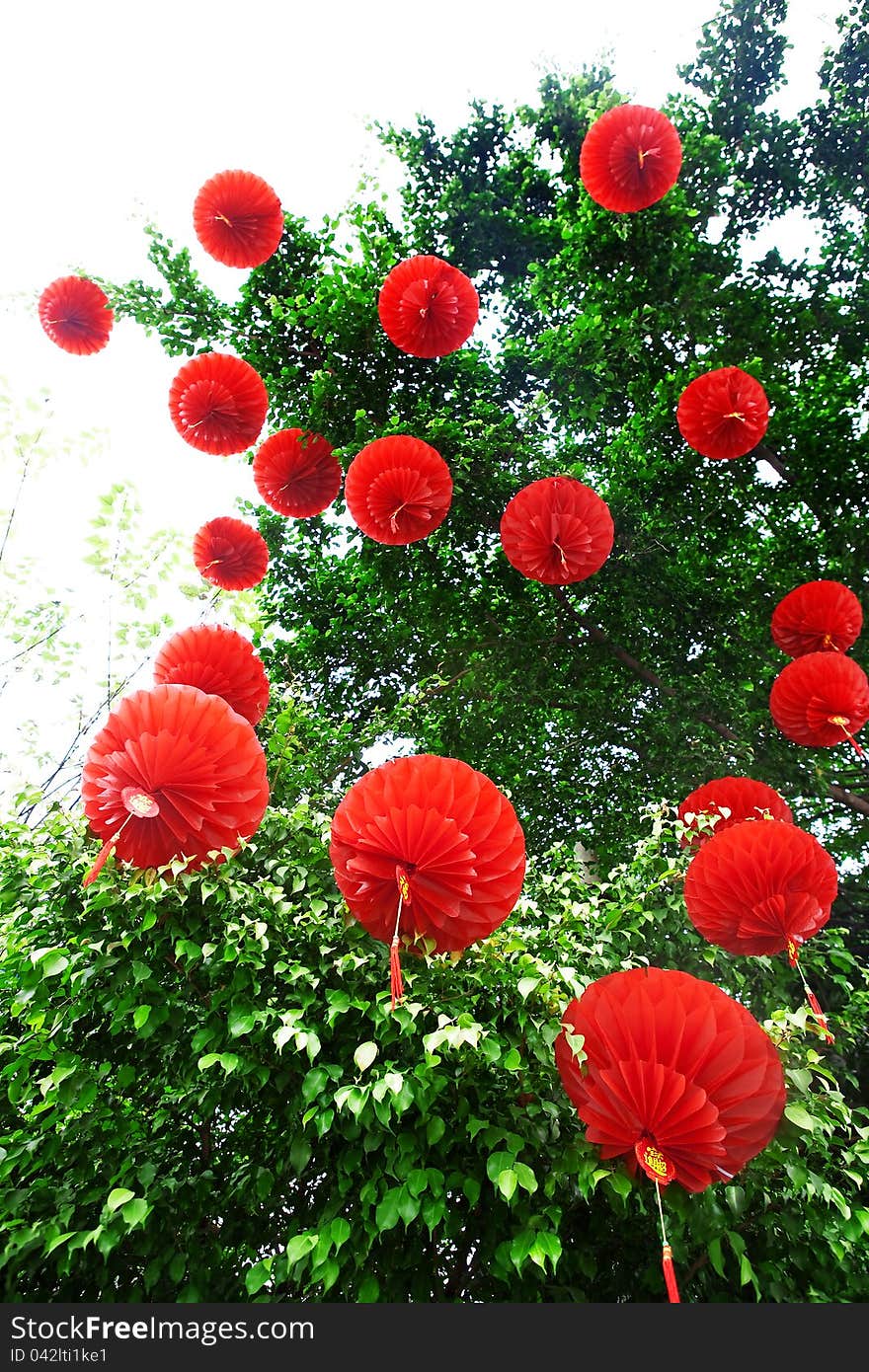 Many red lanterns hung on the trees for chinese new year. Many red lanterns hung on the trees for chinese new year