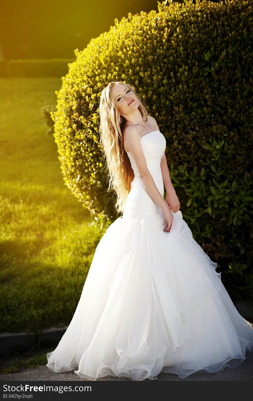 Portrait of a beautiful bride