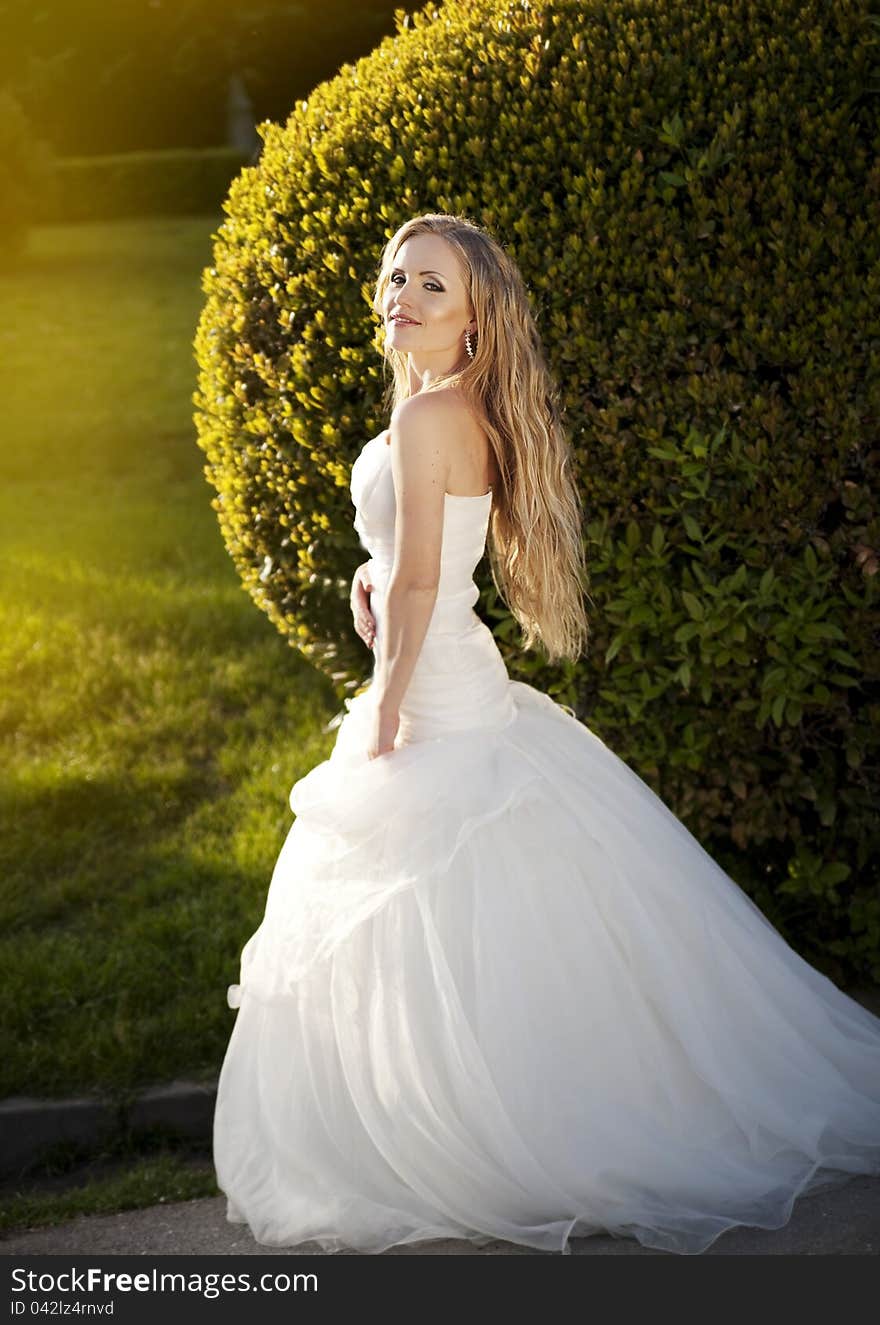 Portrait of a beautiful bride