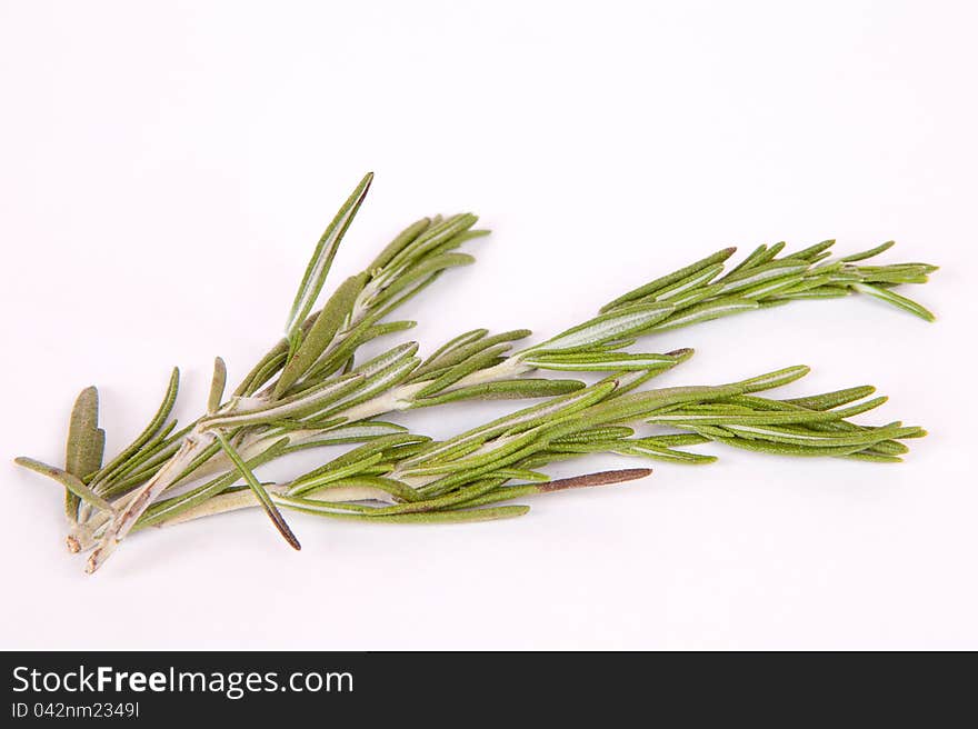 Twig of rosemary