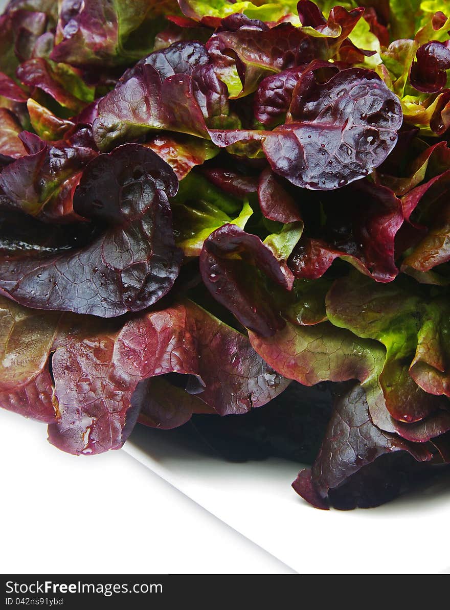 Lettuce closeup on the plate