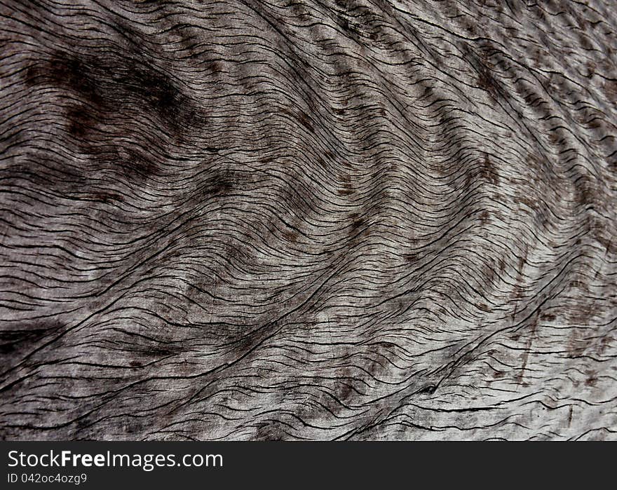 Macro view of old, weathered, worked wood. Macro view of old, weathered, worked wood