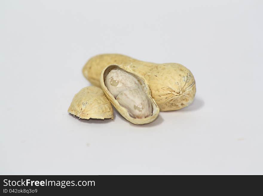 Dried and shelled peanuts