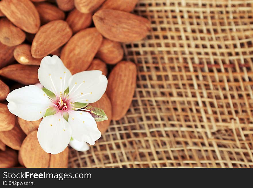 Fresh almonds useful delicious lying on the sacking background. Fresh almonds useful delicious lying on the sacking background