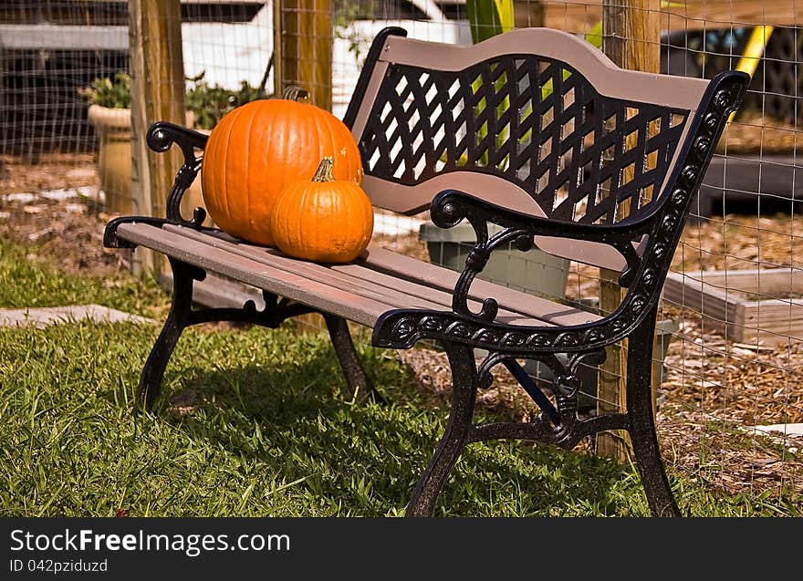 Pumpkins On Bench.