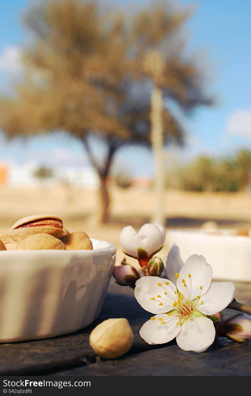 Almond flowers and pistachios