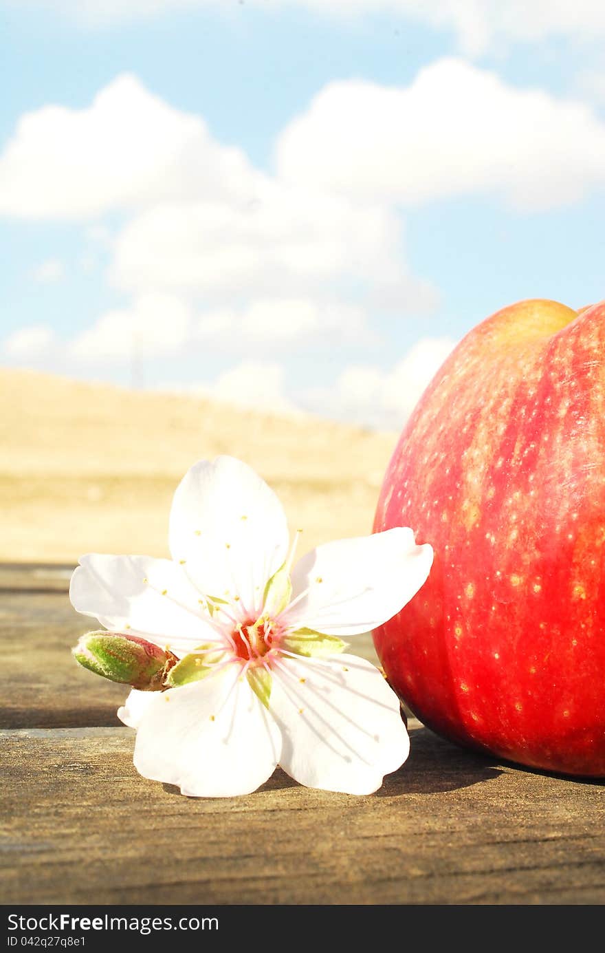 Fresh red apple with a flower in the sky on the table. Fresh red apple with a flower in the sky on the table