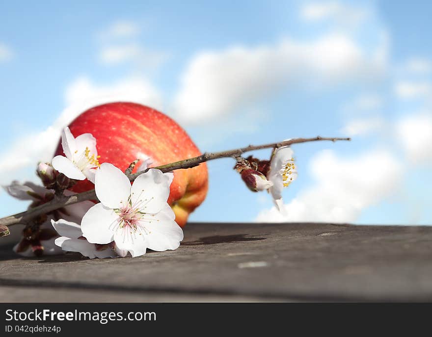 Fresh red apple with a flower in the sky on the table