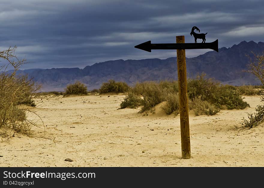 Road Sign In Hai-Bar Nature Reserve, Israel