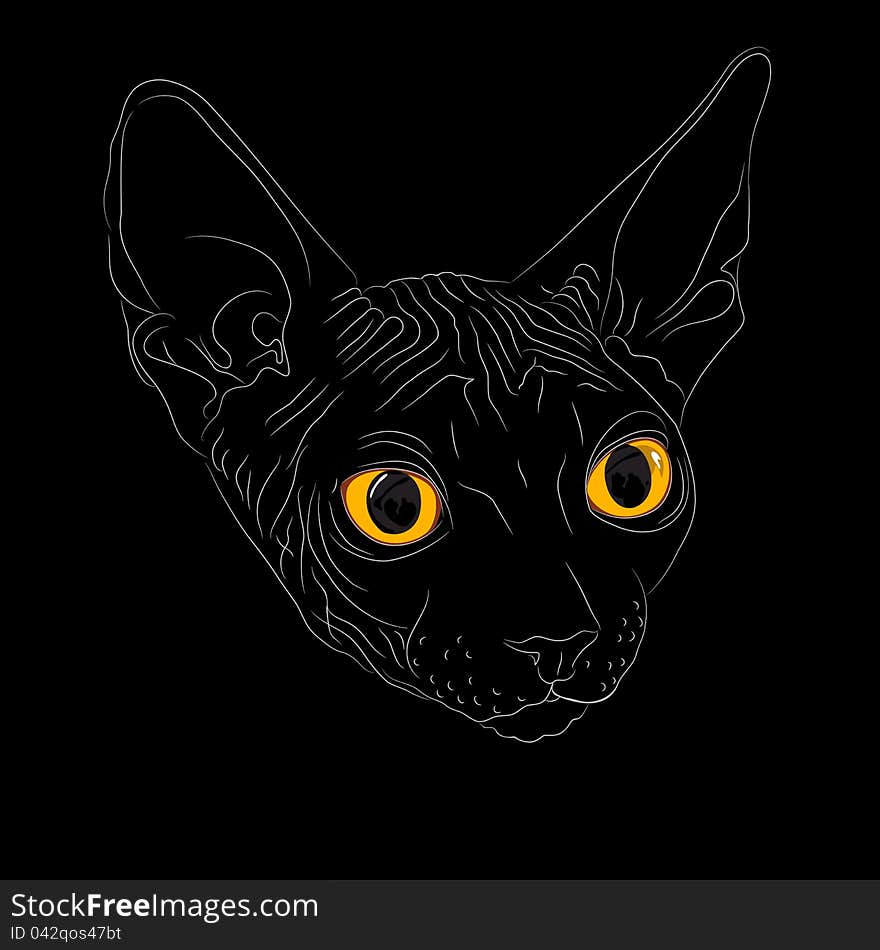 Close-up portrait, sketch a cat breed Sphynx on a black background with bright yellow eyes. The Sphynx is a rare breed of cat known for its lack of a coat. Close-up portrait, sketch a cat breed Sphynx on a black background with bright yellow eyes. The Sphynx is a rare breed of cat known for its lack of a coat.