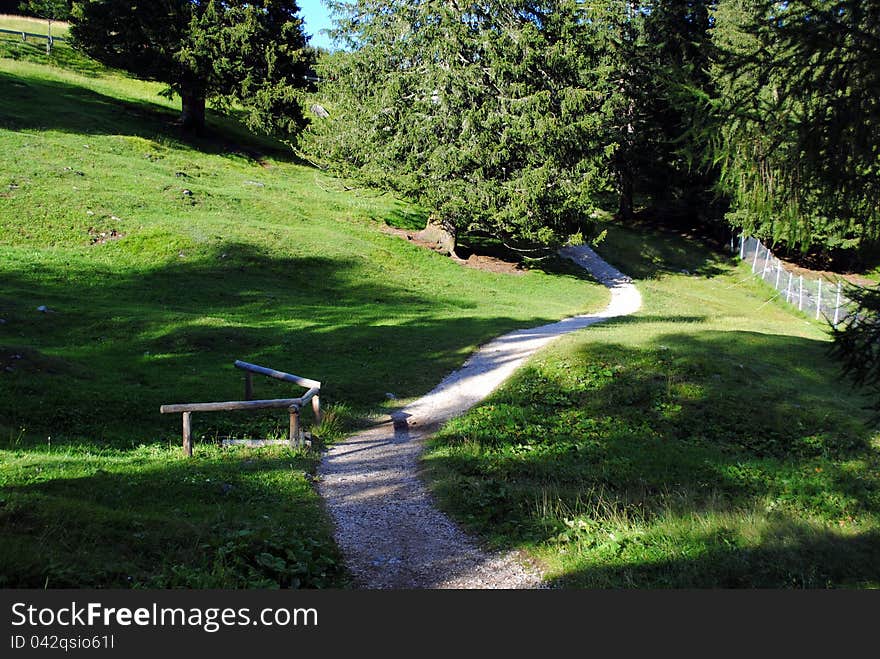 White pebbles path