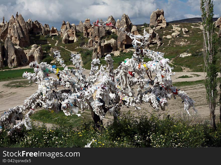 Desire tree in Cappadocia, Turkey.