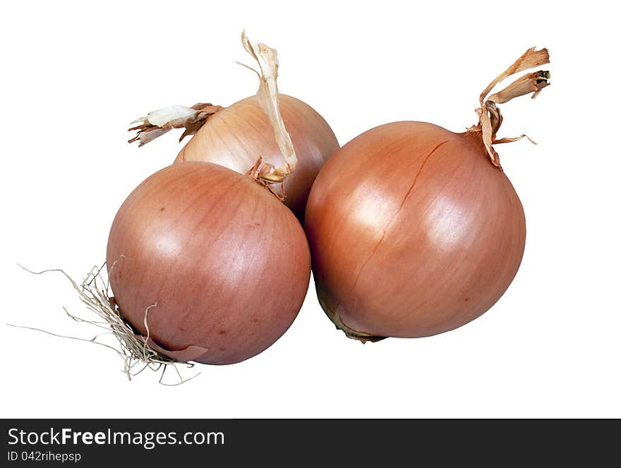 Onion