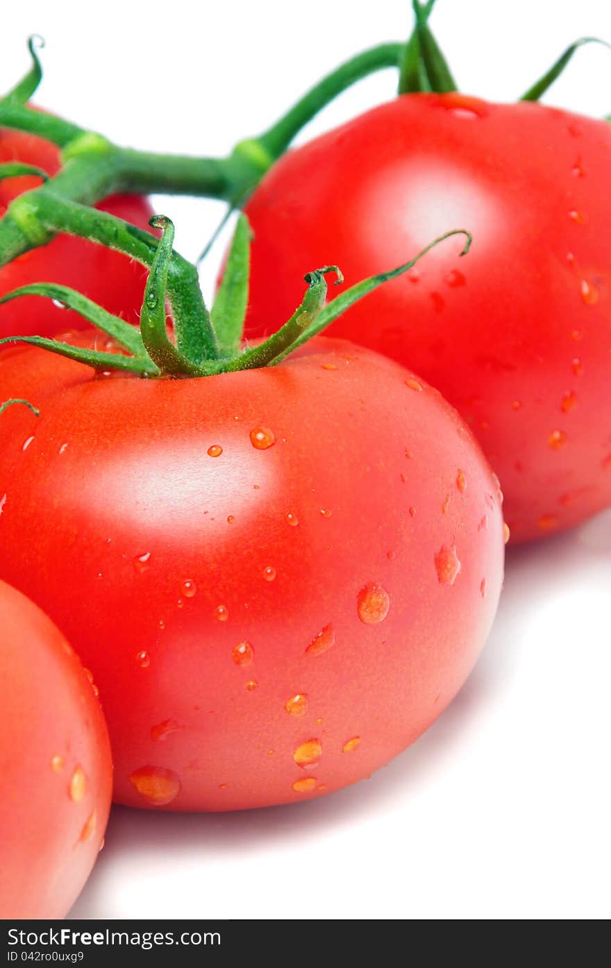 Wet tomatoes closeup on plate