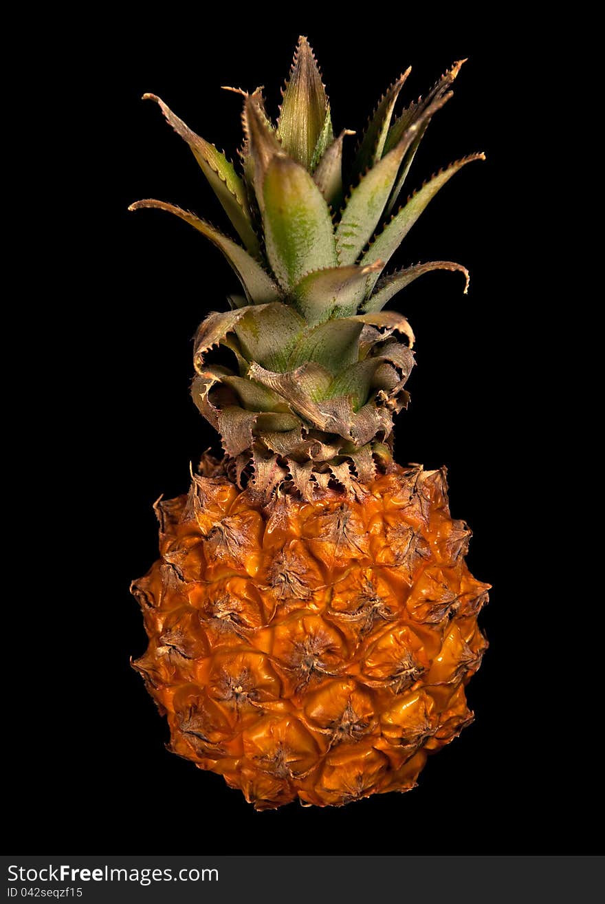 One little pineapple isolated on black