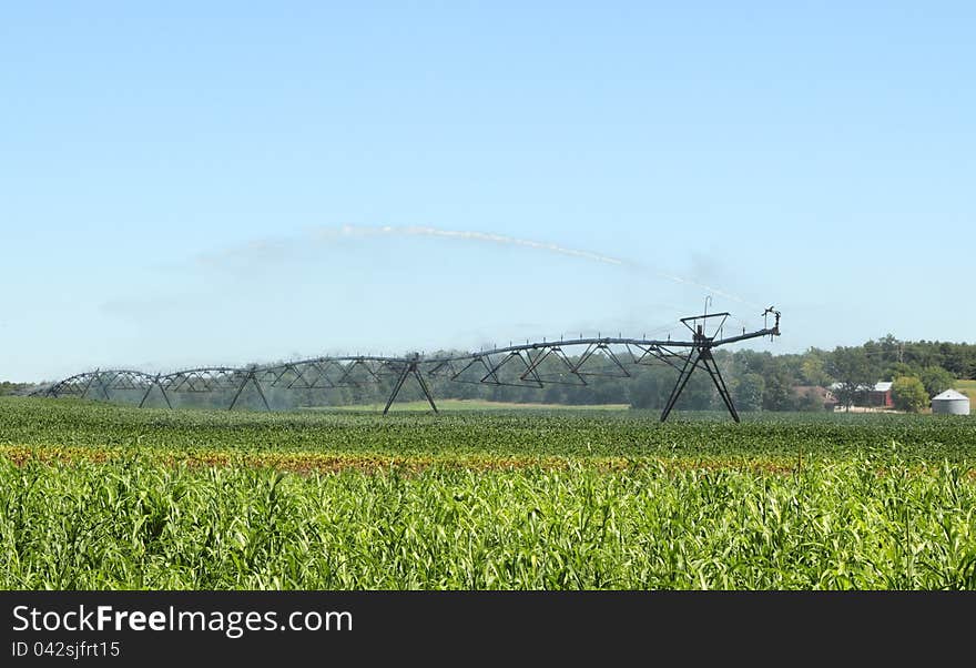 Watering Soybeans