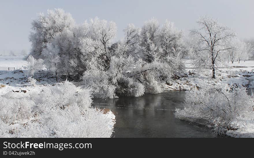 Winter scene around the Poudre River as the early morning mist begins to lift following an overnight snow fall. Winter scene around the Poudre River as the early morning mist begins to lift following an overnight snow fall.