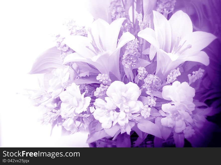 Flowers in purple