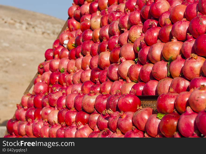 Pomegranates on display