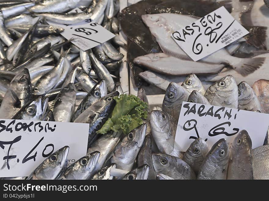 Fish exposed to the market with price tags in Euro (Venice, market by the Rialto Bridge, Italy)