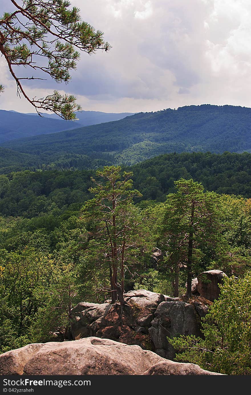 Mountain landscape with trees in Carpathians