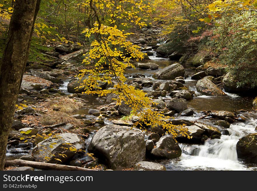 A white water stream is beautiful in fall. A white water stream is beautiful in fall.